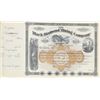 Image 12 : Black Diamond Mining Co. Stock Certificate Book
