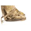 Image 11 : Mid-20th C. Inuit Sealskin, Hide & Caribou Mukluks