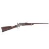 Image 1 : Remington Rollingblock .43 Cal Decorated Rifle