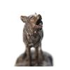 Image 11 : 1975 Original Bob Scriver Howling Coyote Bronze