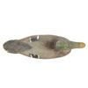 Image 5 : Mallard Duck Wooden & Glass Eye Decoy c. 1940
