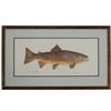 Image 2 : Eileen Klatt Brown Trout Salmo Trutta Watercolor