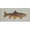 Image 3 : Eileen Klatt Brown Trout Salmo Trutta Watercolor