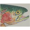 Image 12 : Eileen Klatt Rainbow Trout Framed Watercolor