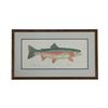 Image 2 : Eileen Klatt Rainbow Trout Framed Watercolor