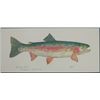Image 3 : Eileen Klatt Rainbow Trout Framed Watercolor