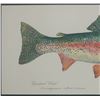 Image 4 : Eileen Klatt Rainbow Trout Framed Watercolor