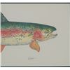 Image 5 : Eileen Klatt Rainbow Trout Framed Watercolor