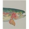 Image 8 : Eileen Klatt Rainbow Trout Framed Watercolor