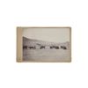 Image 10 : C. 1870-1890 Sioux Indian Rancher Bison Herd