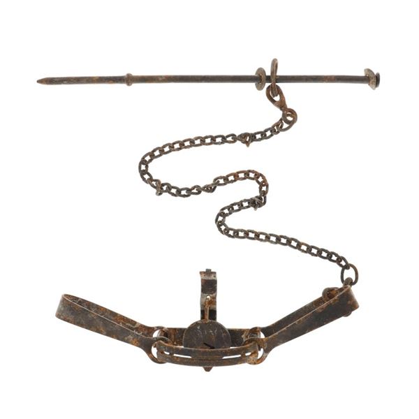 Victor #3 Coyote Metal Spring Trap w/ Stake