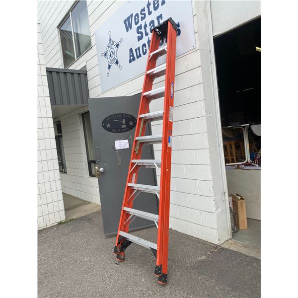 Werner 10' ladder