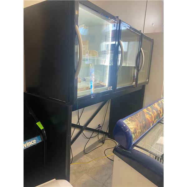 Stand up 3 door freezer 71" wide