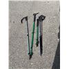 Image 1 : Walking poles