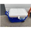 Image 1 : Igloo cooler