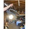 Image 2 : Dragon light