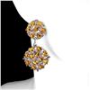 Image 1 : Natural Citrine & Rhodolite Garnet Earrings