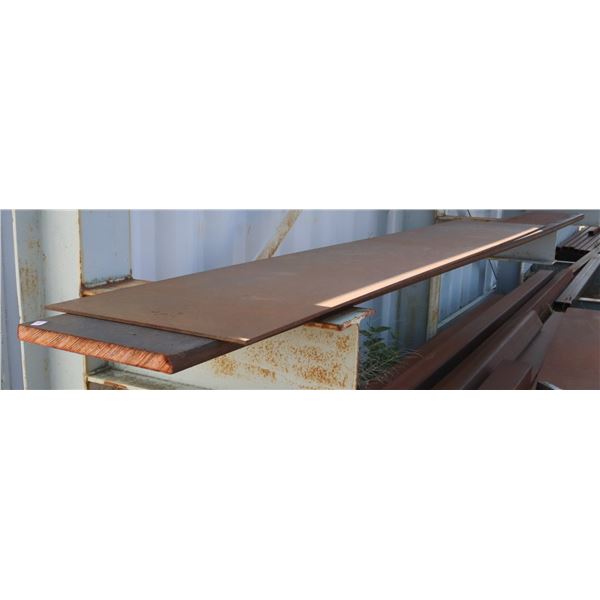 TWO LARGE STEEL PLATES (STAND NOT INCLUDED)