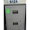 Image 1 : SENTRY FIRE PROOF 2 DRAW FILE CABNIT