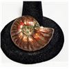 Image 1 : NATURAL IRRIDESCENT AMMONITE COMPLETE