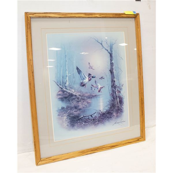 FRAMED DUCK PRINT 24" X 28"