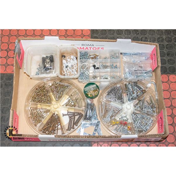 TRAY OF SCREWS AND NAILS
