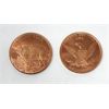 Image 2 : Ten 1 Oz. Copper American Mint Grizzly Rounds 
