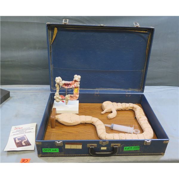 Nasco Life Form Sigmoidoscopic Exam Simulator LF00984U Colon Model in Hard Case