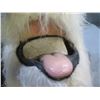 Image 5 : Dog Head Mask for Life-Size Costume (not included)