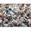 Image 2 : 13 M of New 100% Cotton Elizabeth Studios Fabric