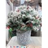 Image 2 : 2 Illuminated Holiday Shrubs in Ceramic Pots