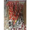 Image 1 : 16 Candy Cane Stake Lights