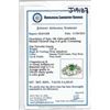 Image 3 : 18K White Gold .57ct Tsavorite & 0.71ct Diamond Ri