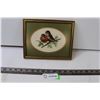 Image 1 : Framed Embroidery Robins 8"x10"