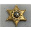 Image 1 : VINTAGE OBSOLETE DEPUTY SHERIFF BADGE