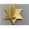 Image 2 : VINTAGE OBSOLETE DEPUTY SHERIFF BADGE