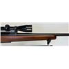 Image 11 : REMINGTON MODEL 788