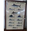 Image 1 : 2-Fish Wall Art - 2 X $