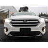 Image 5 : C6C --  2017 FORD ESCAPE TITANIUM INTELLIGENT 4WD, White, 101730 KM
