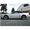 Image 27 : C6E --  2004 FORD MUSTANG GT CONVERTIBLE, Grey, 221025 KM