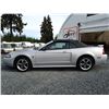 Image 28 : C6E --  2004 FORD MUSTANG GT CONVERTIBLE, Grey, 221025 KM