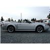Image 35 : C6E --  2004 FORD MUSTANG GT CONVERTIBLE, Grey, 221025 KM