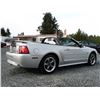 Image 36 : C6E --  2004 FORD MUSTANG GT CONVERTIBLE, Grey, 221025 KM