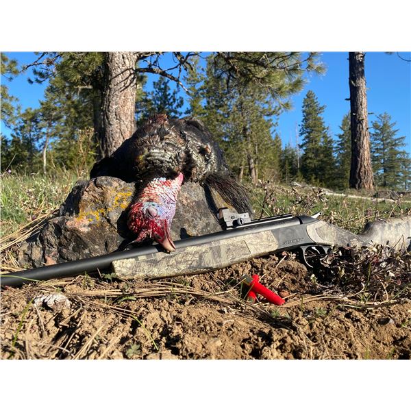 Ponderosa Ranch - Fully Guided Turkey Hunt w Shotgun Package