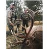 Image 1 : Ponderosa Ranch - Fully Guided Trophy Elk Hunt, Filmed for Television