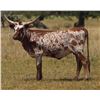 Image 1 : JTW TEJAS TOFFEE