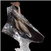 Image 2 : John Cuevas "Gentle Waters" Limited Edition Mixed Media Lucite Sculpture
