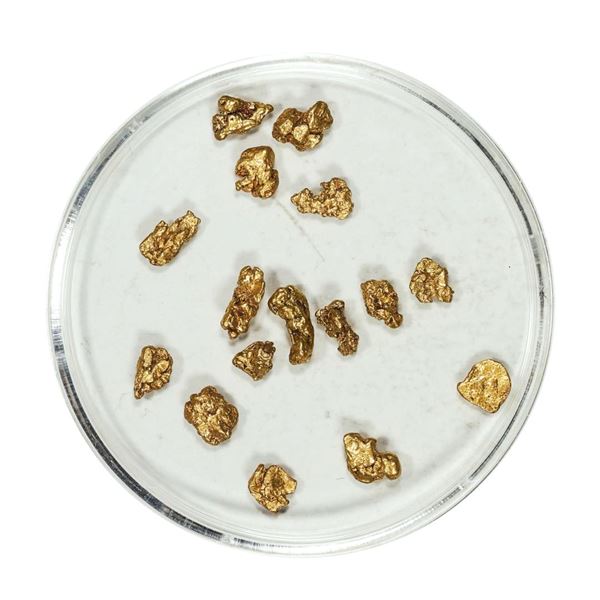 Gold Nuggets 2.60 Grams Total Weight