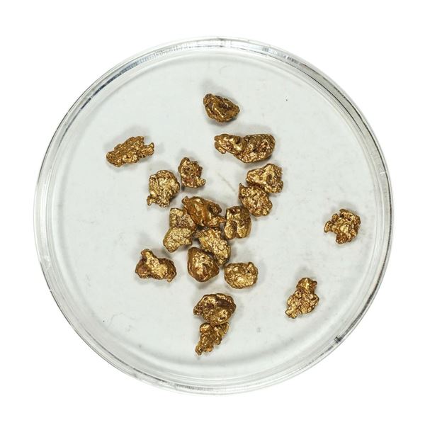 Gold Nuggets 3.18 Grams Total Weight