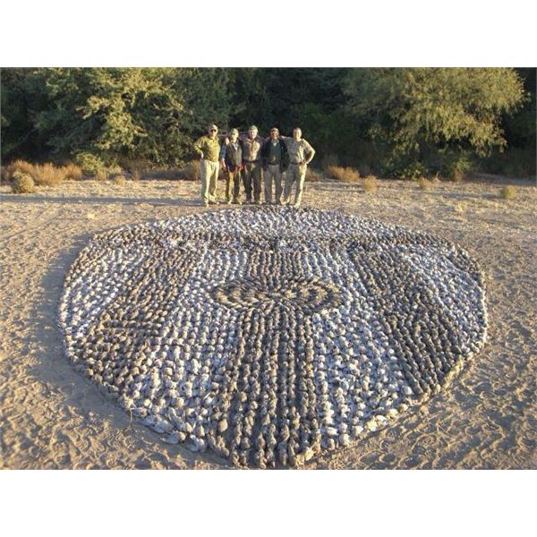 Wingshooting, Small game & Boar hunting Seven Days Argentina